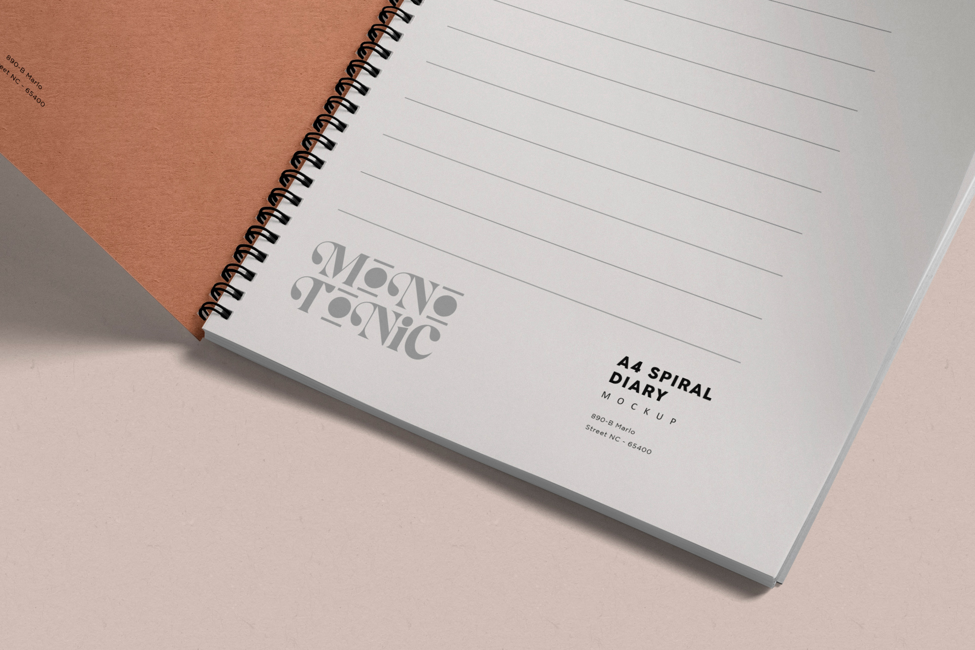 diary mockup