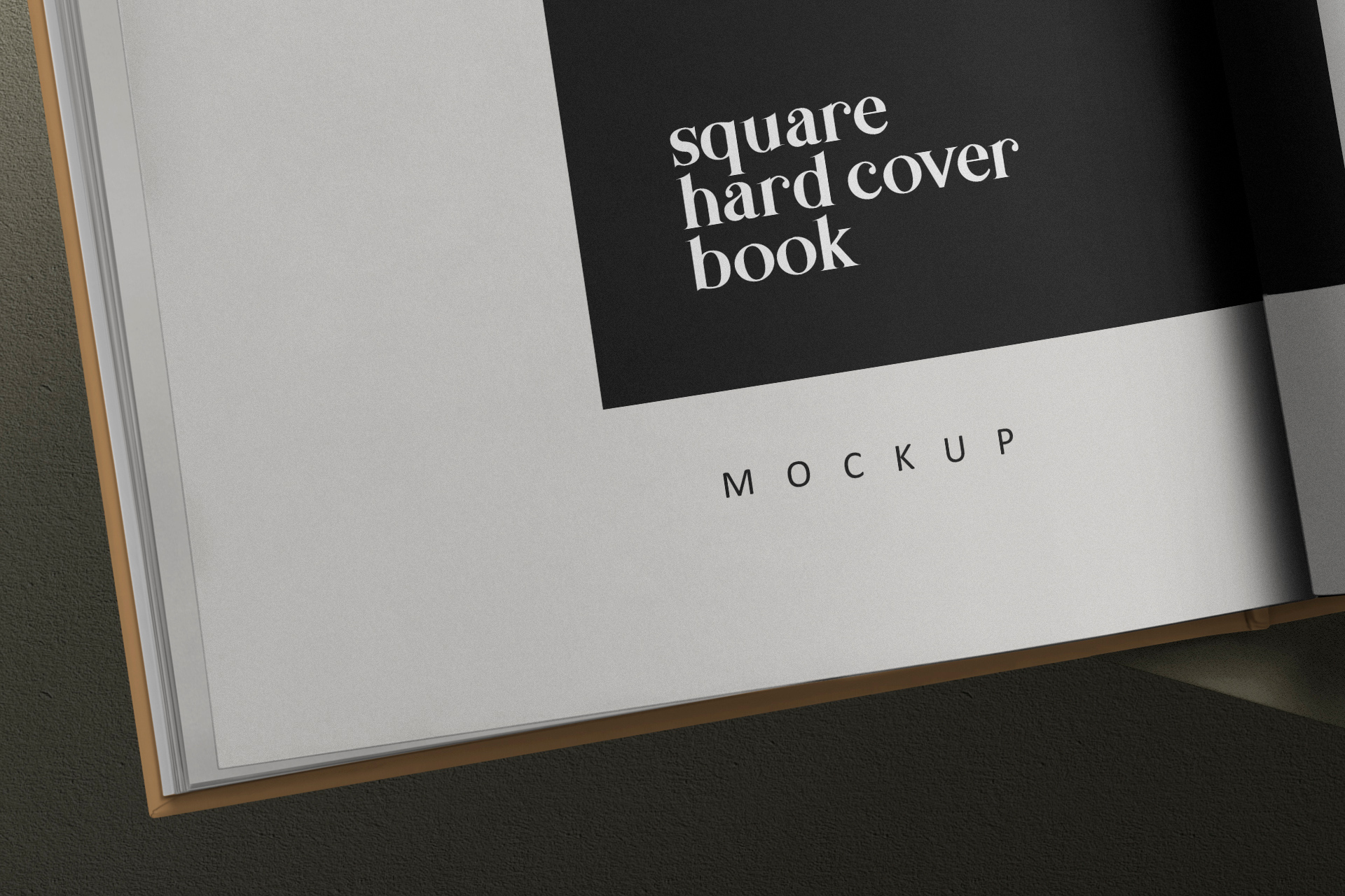book mockup