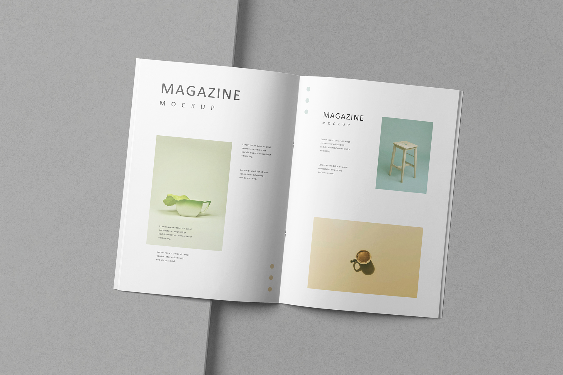 Minimal Interior Spread Magazine Mockup A4