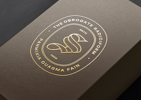 Gold Foil Logo Mockup on Cardboard Packaging Box