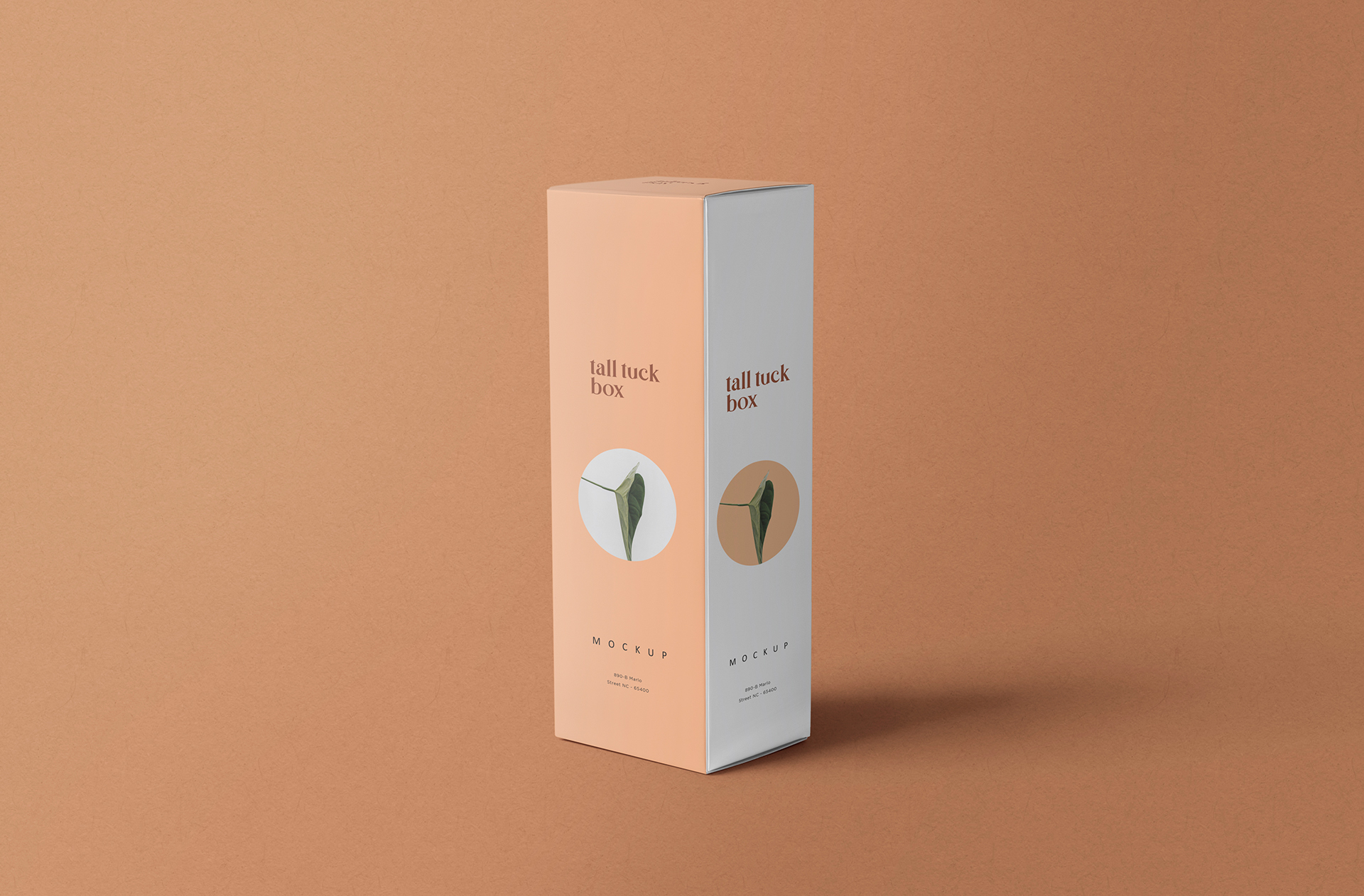 Floating Tall Tuck Box Mockup for Packaging