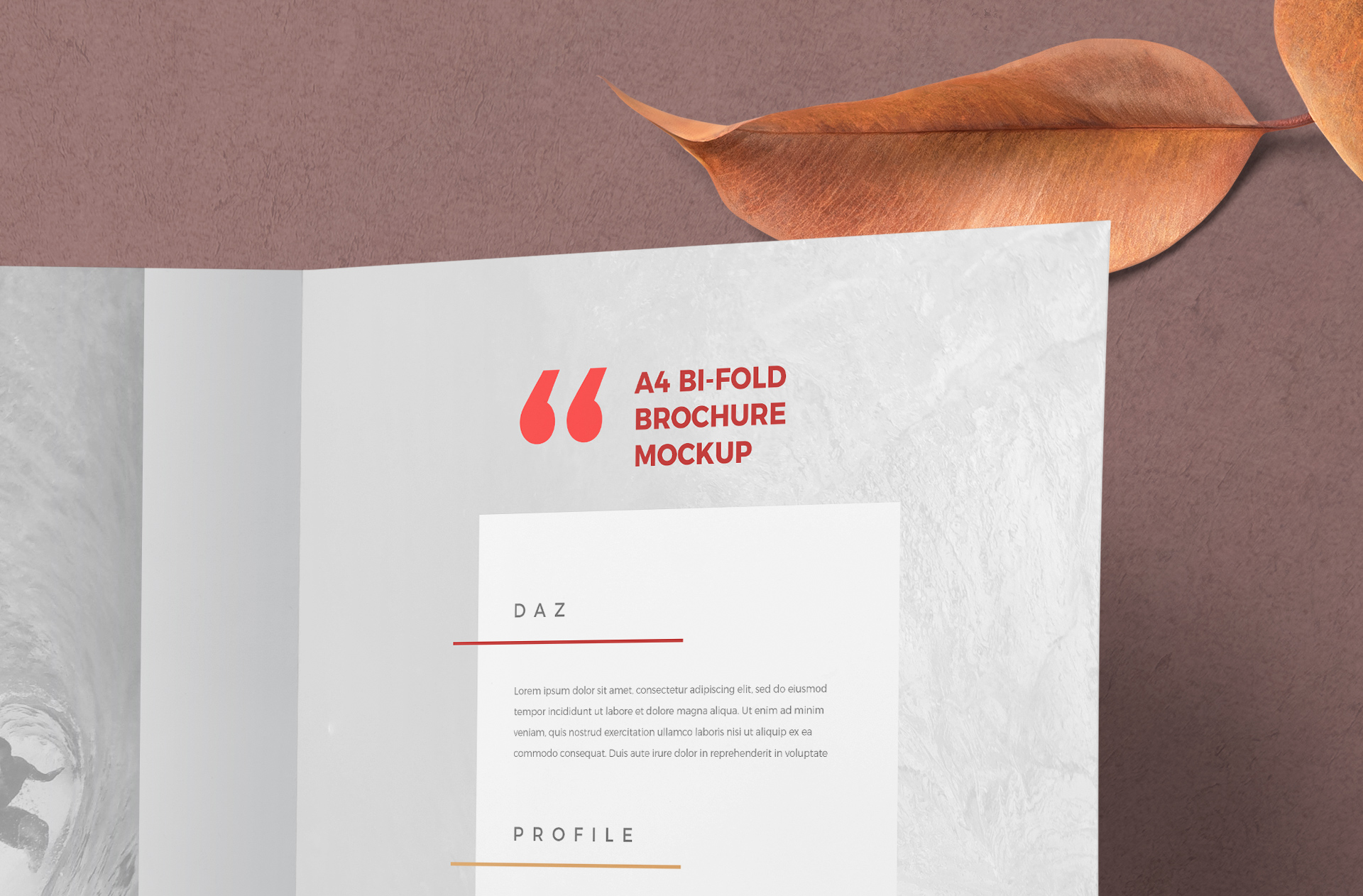 a4 brochure