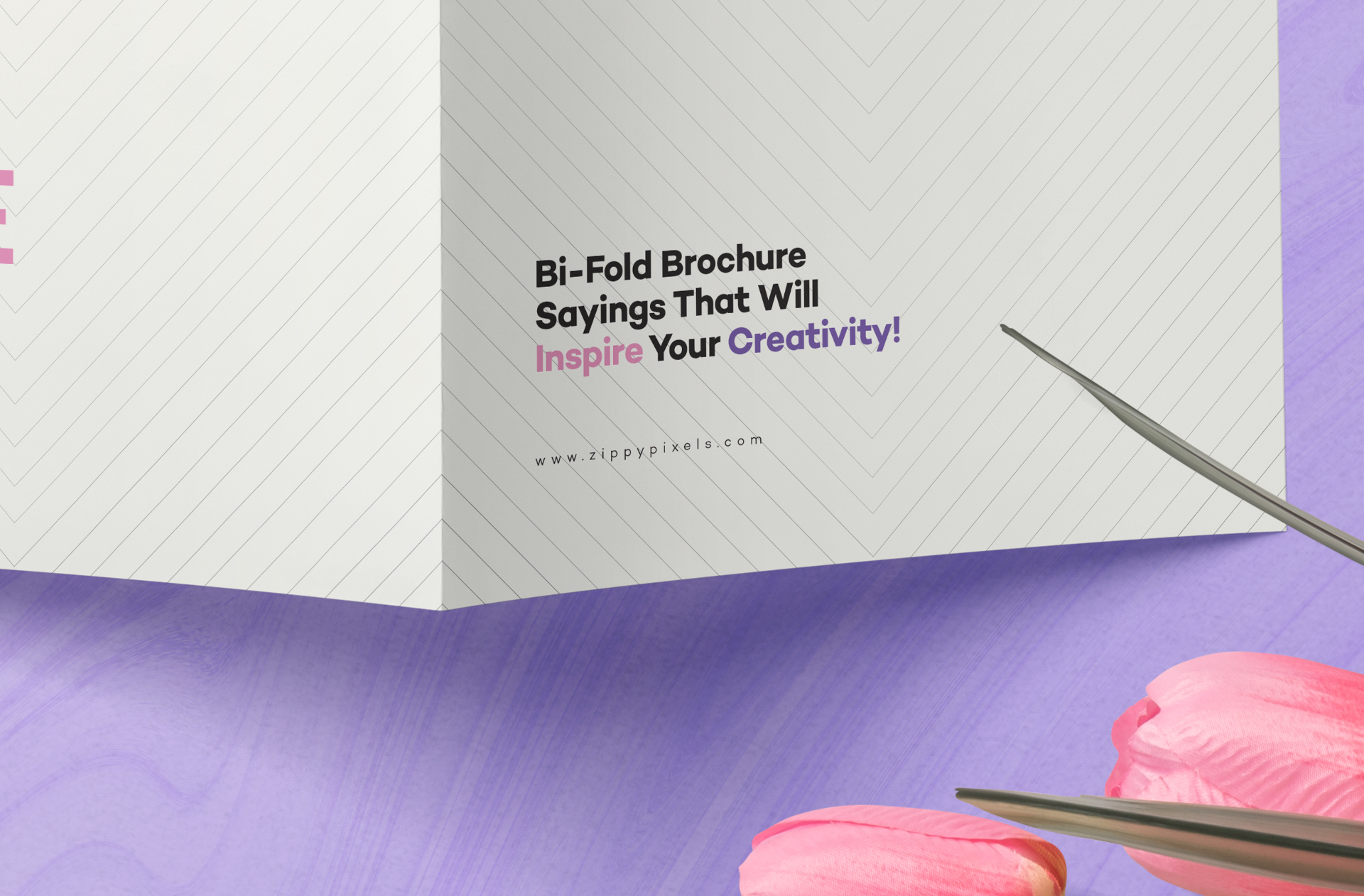 advertising brochure