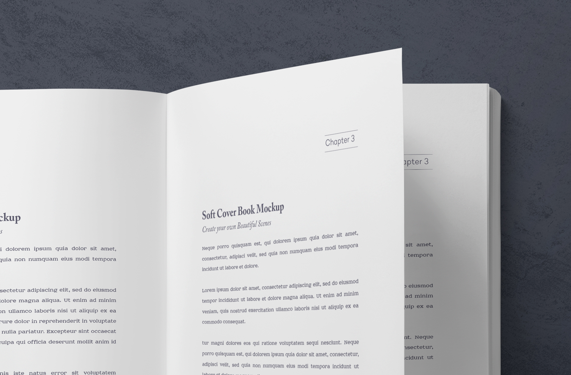 book page mockup