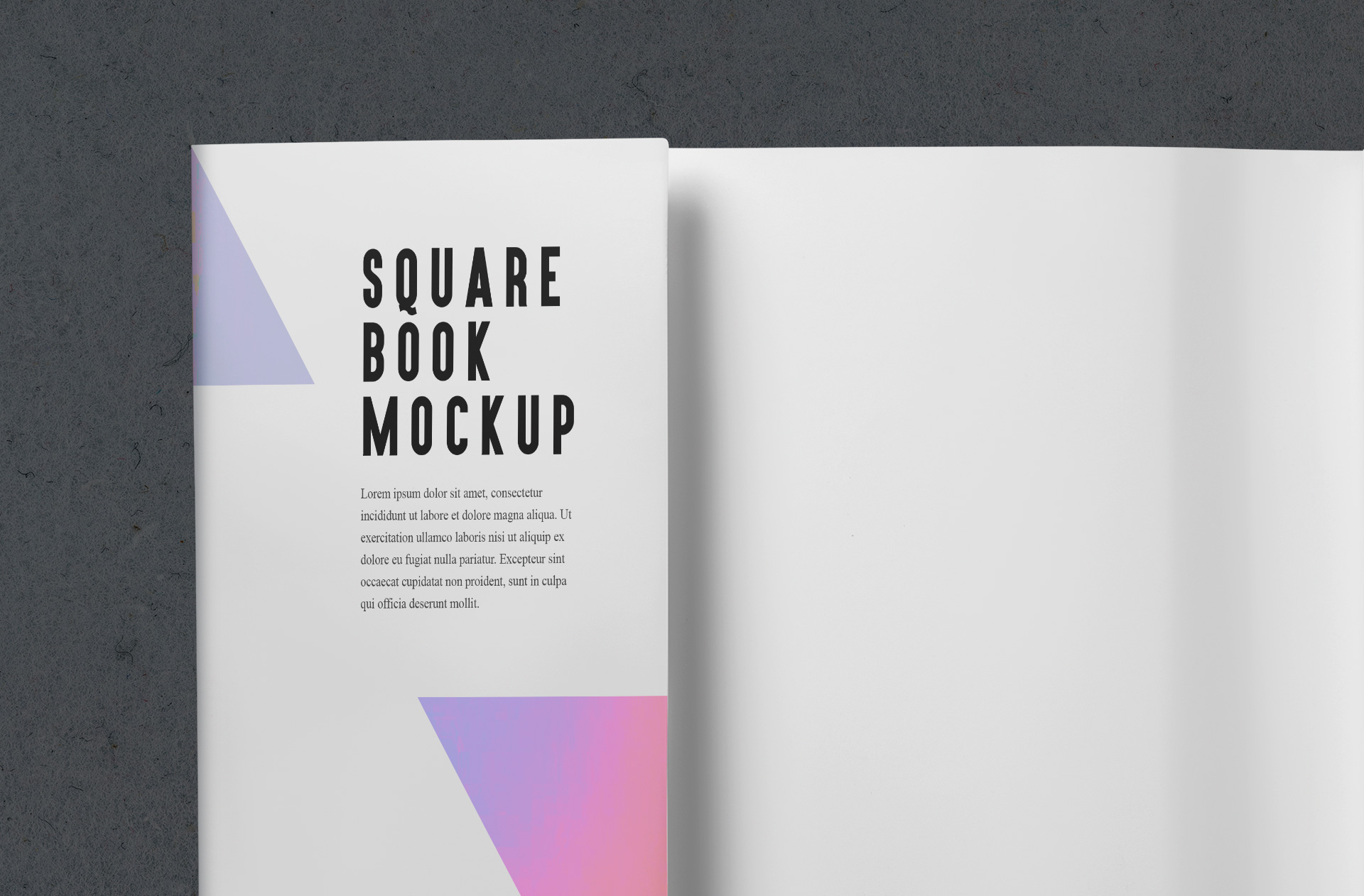 A5 square book mockup