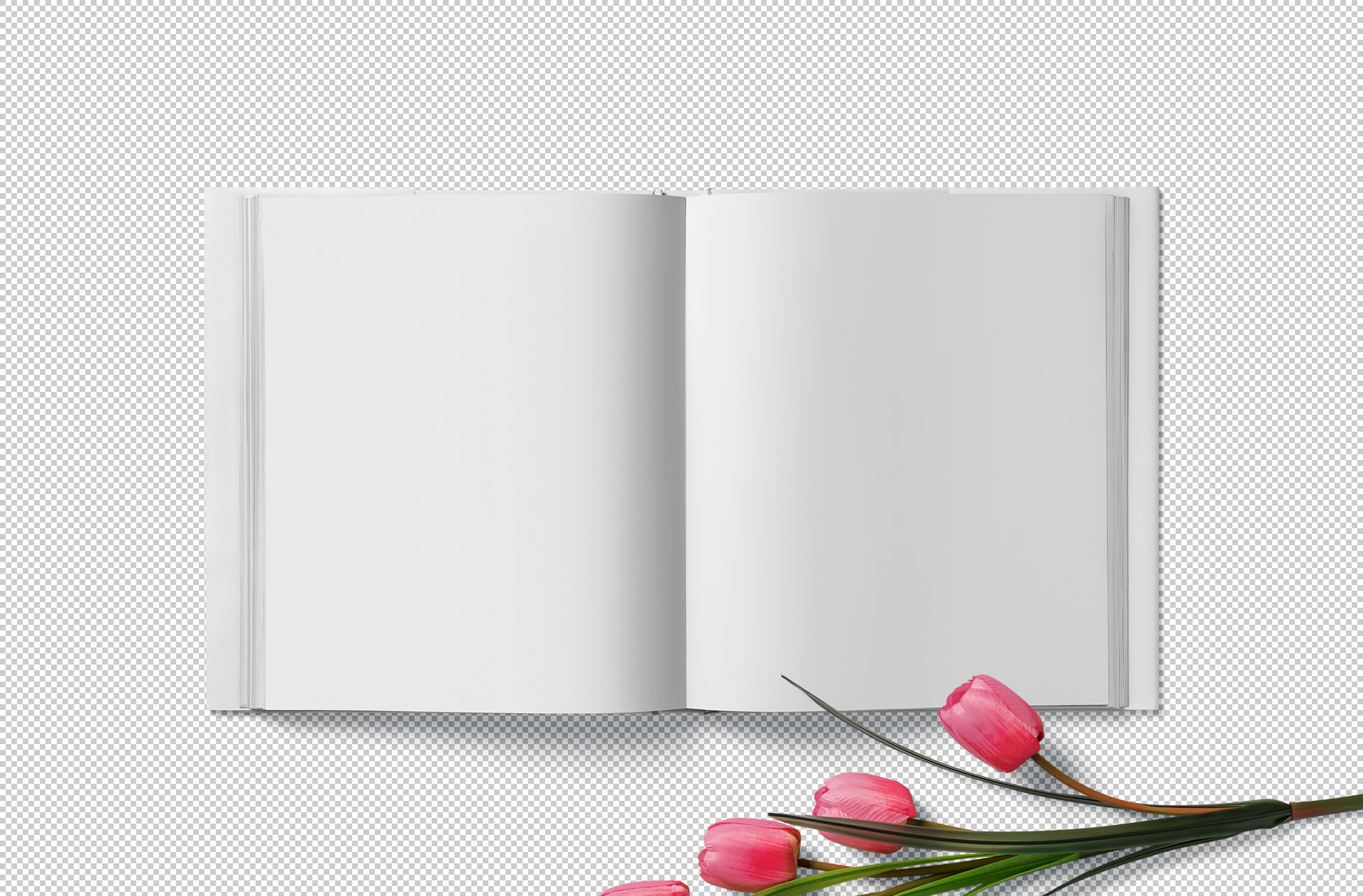A5 square book mockup