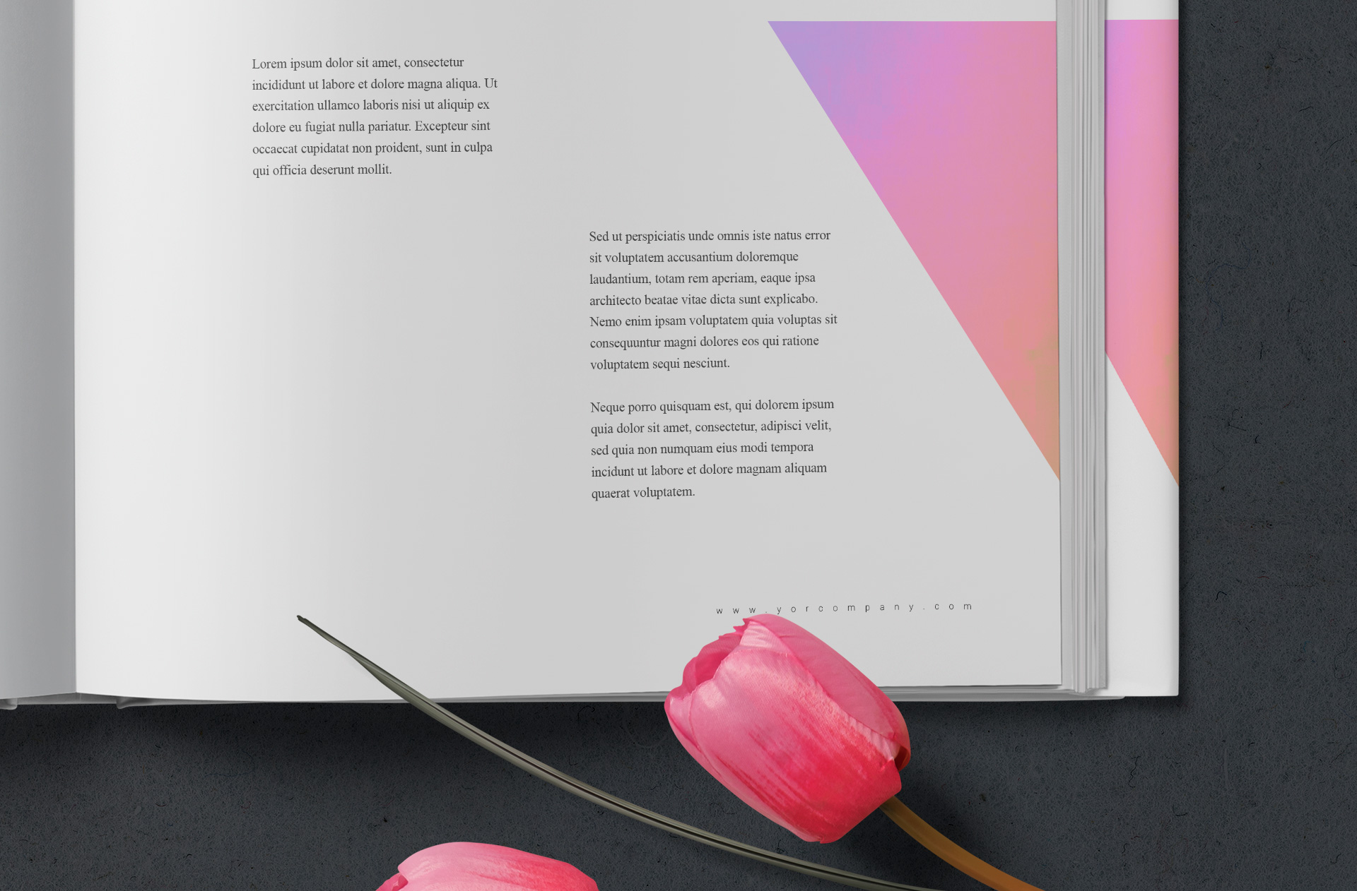 A5 square book mockup