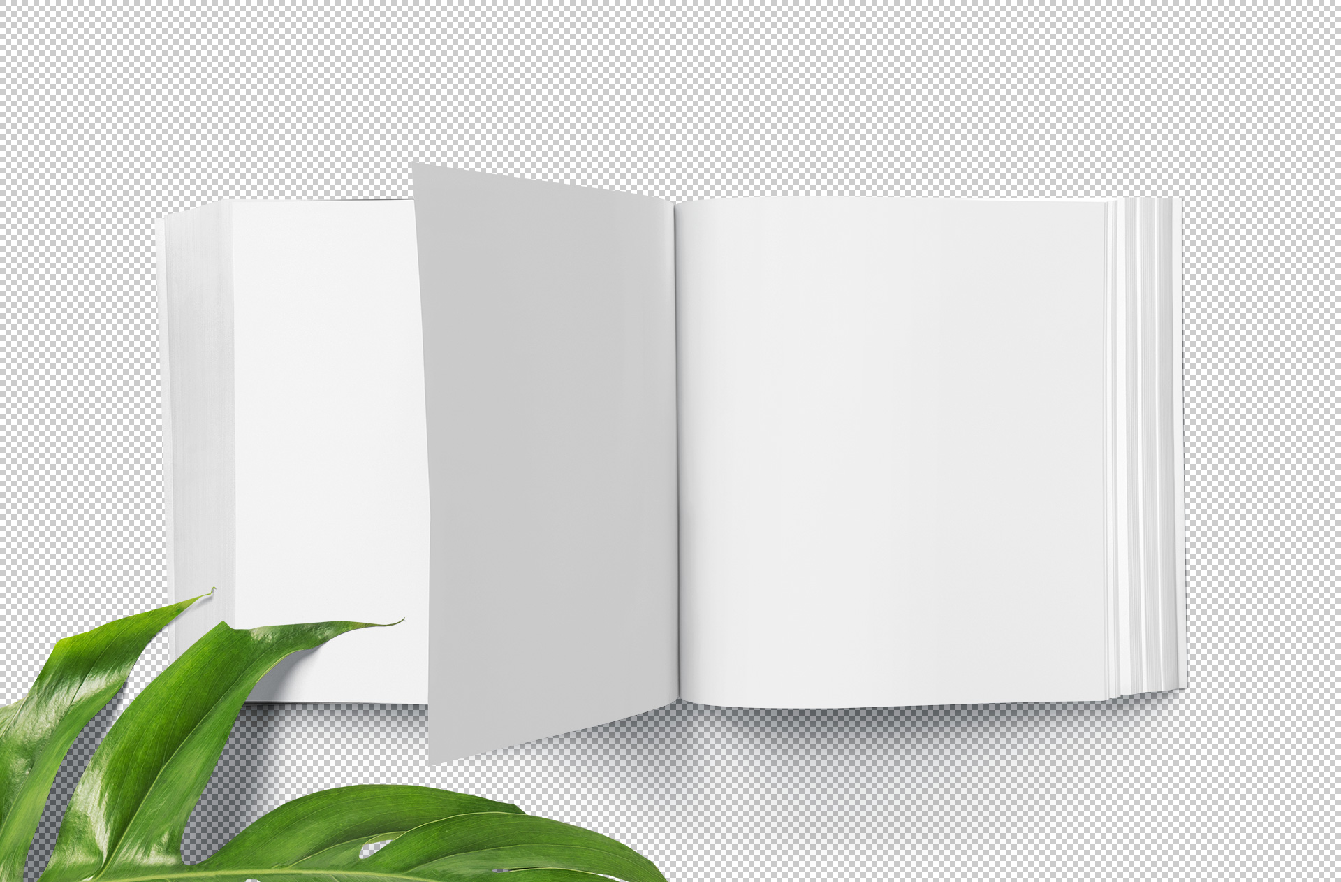 A4 square book mockup