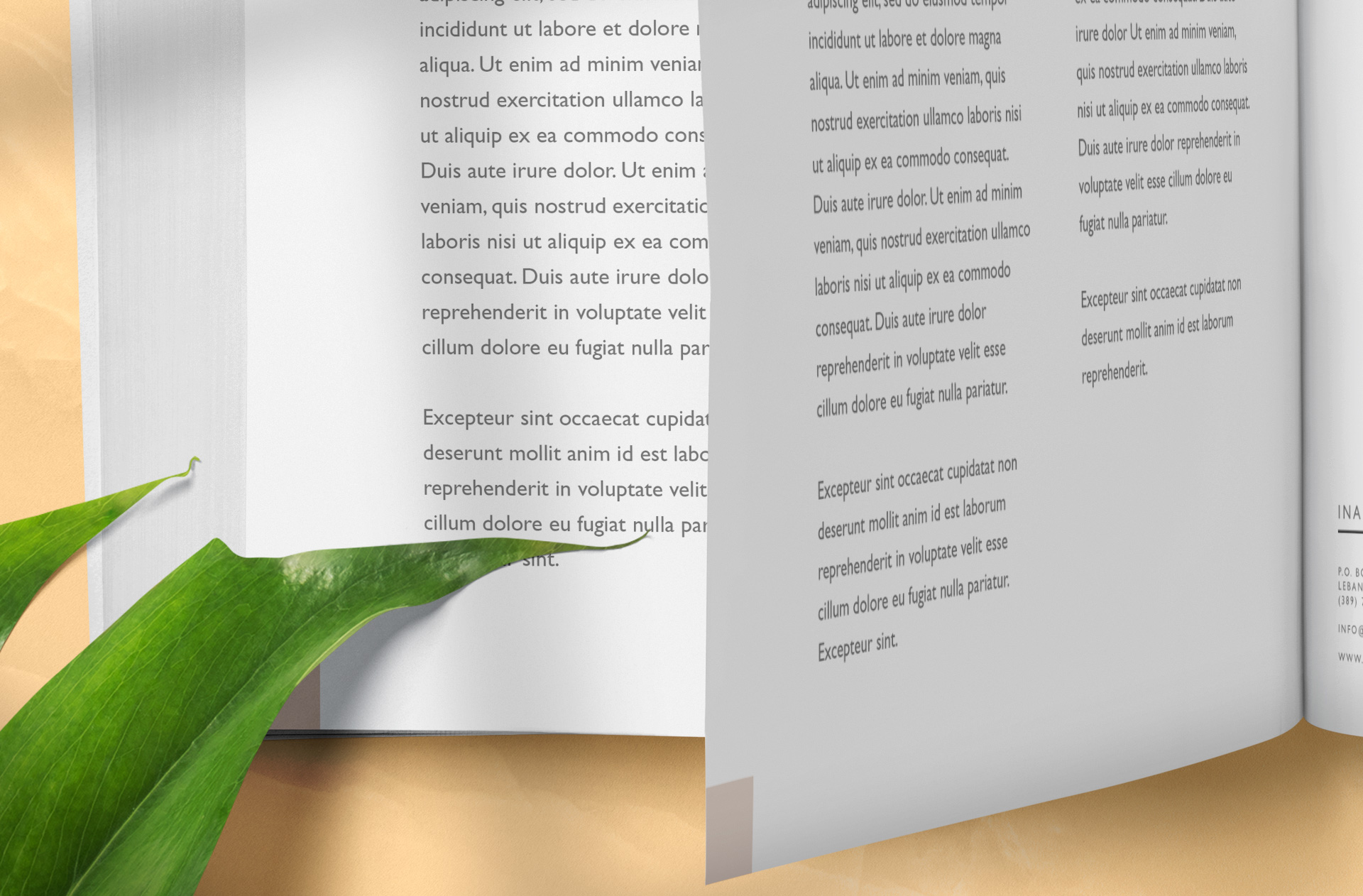 A4 square book mockup