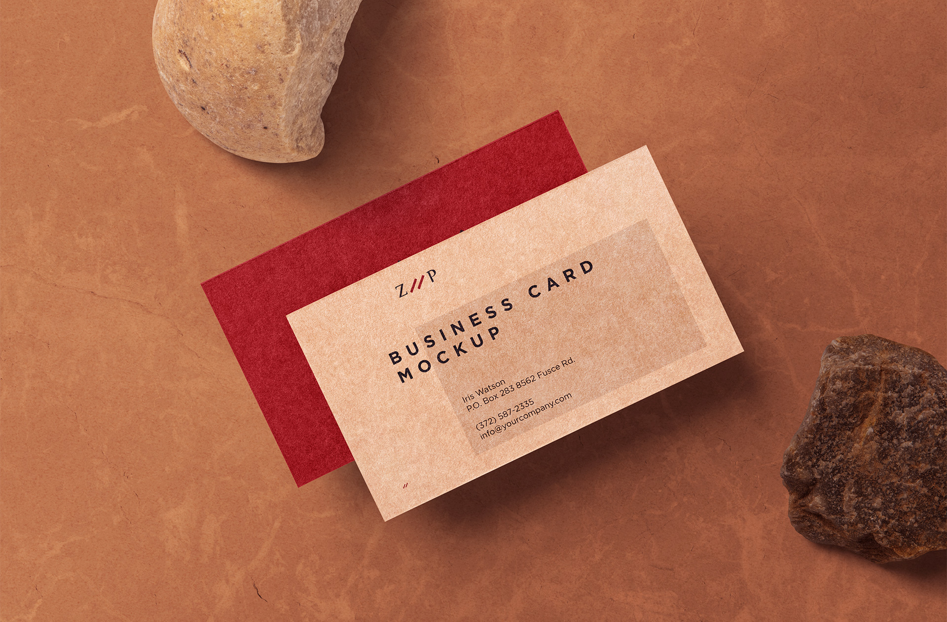 Vintage Rustic Business Card Mockup with Bold Colors