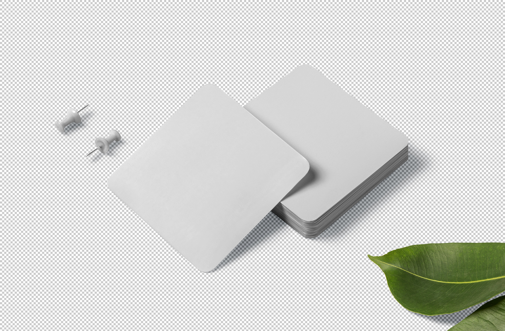 business card mockup