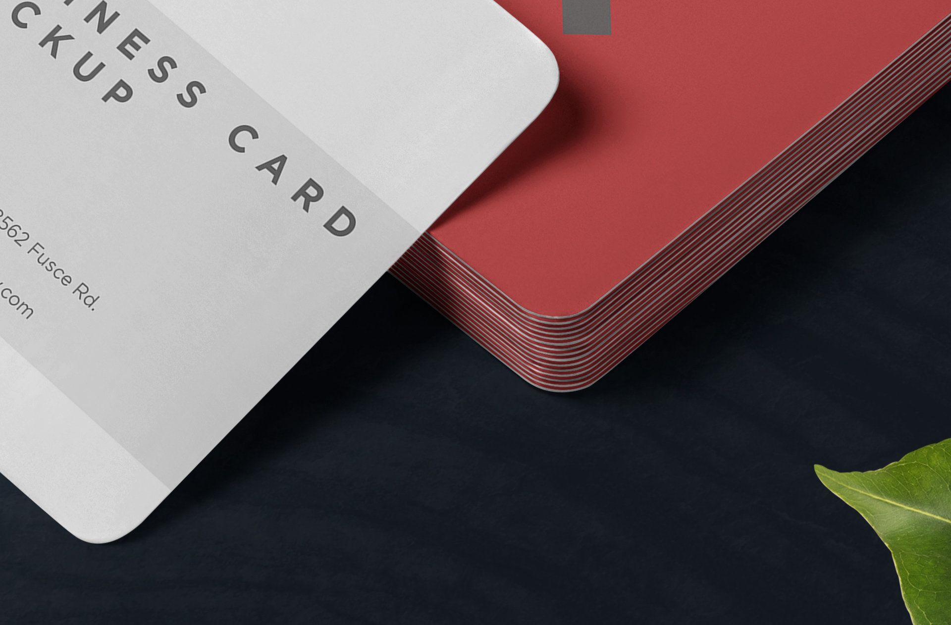 business card mockup