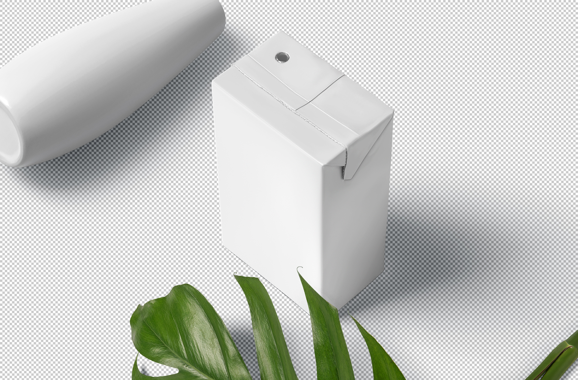 beverage carton mockup