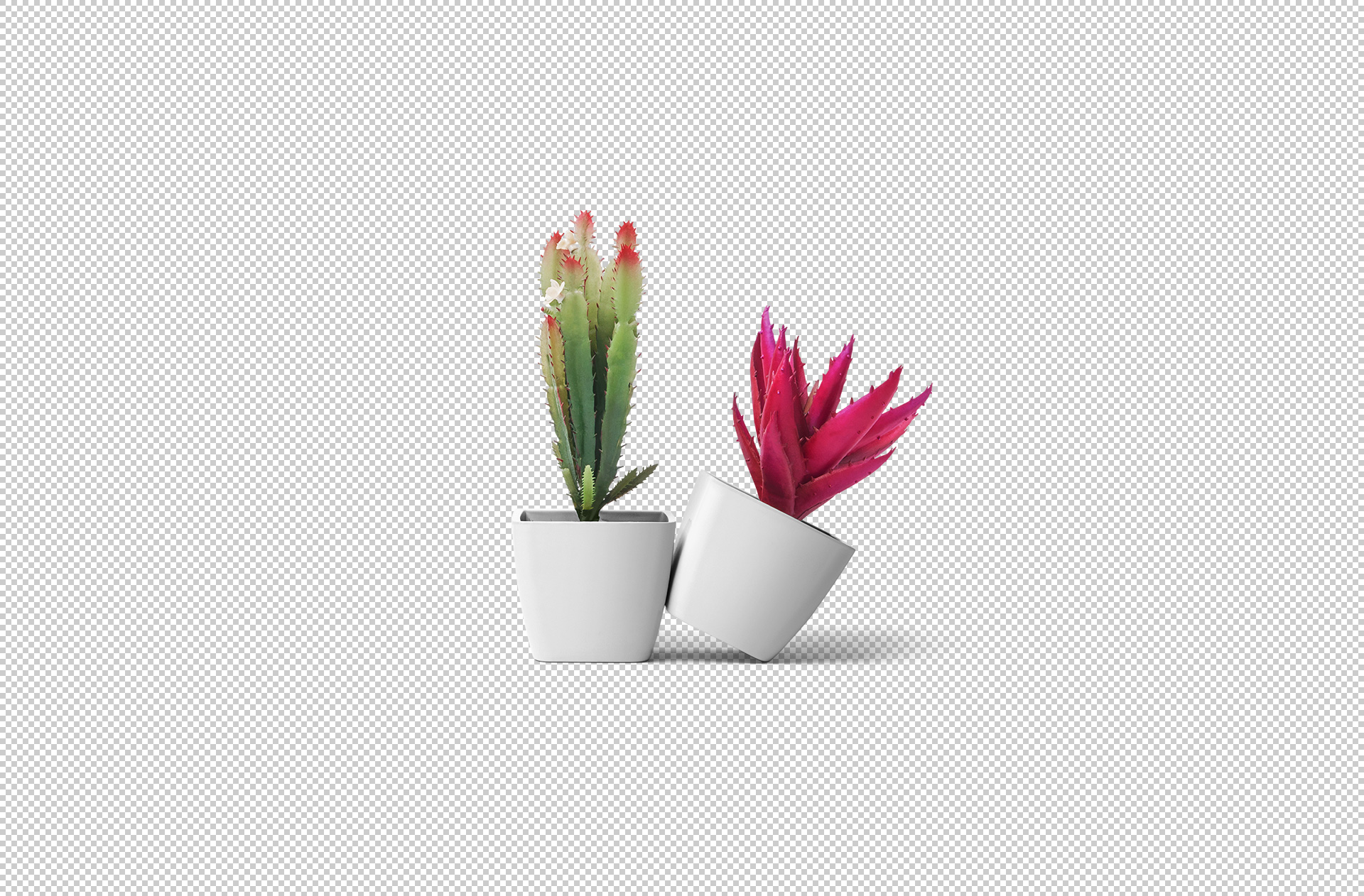 ceramic flowerpot mockup