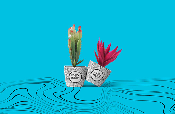 Set of Two Plant Pot Mockups with Decorative Design