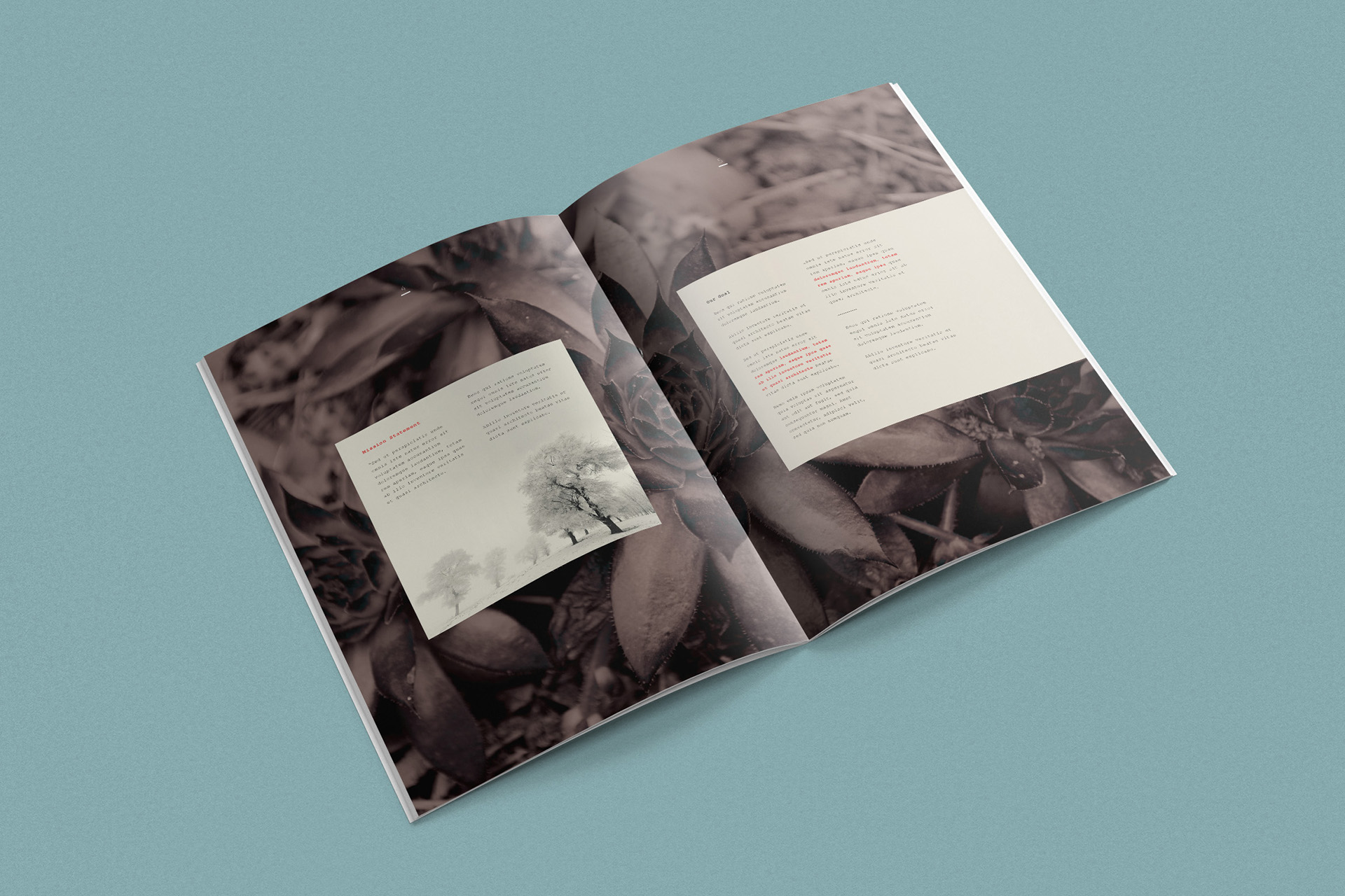 brand book template