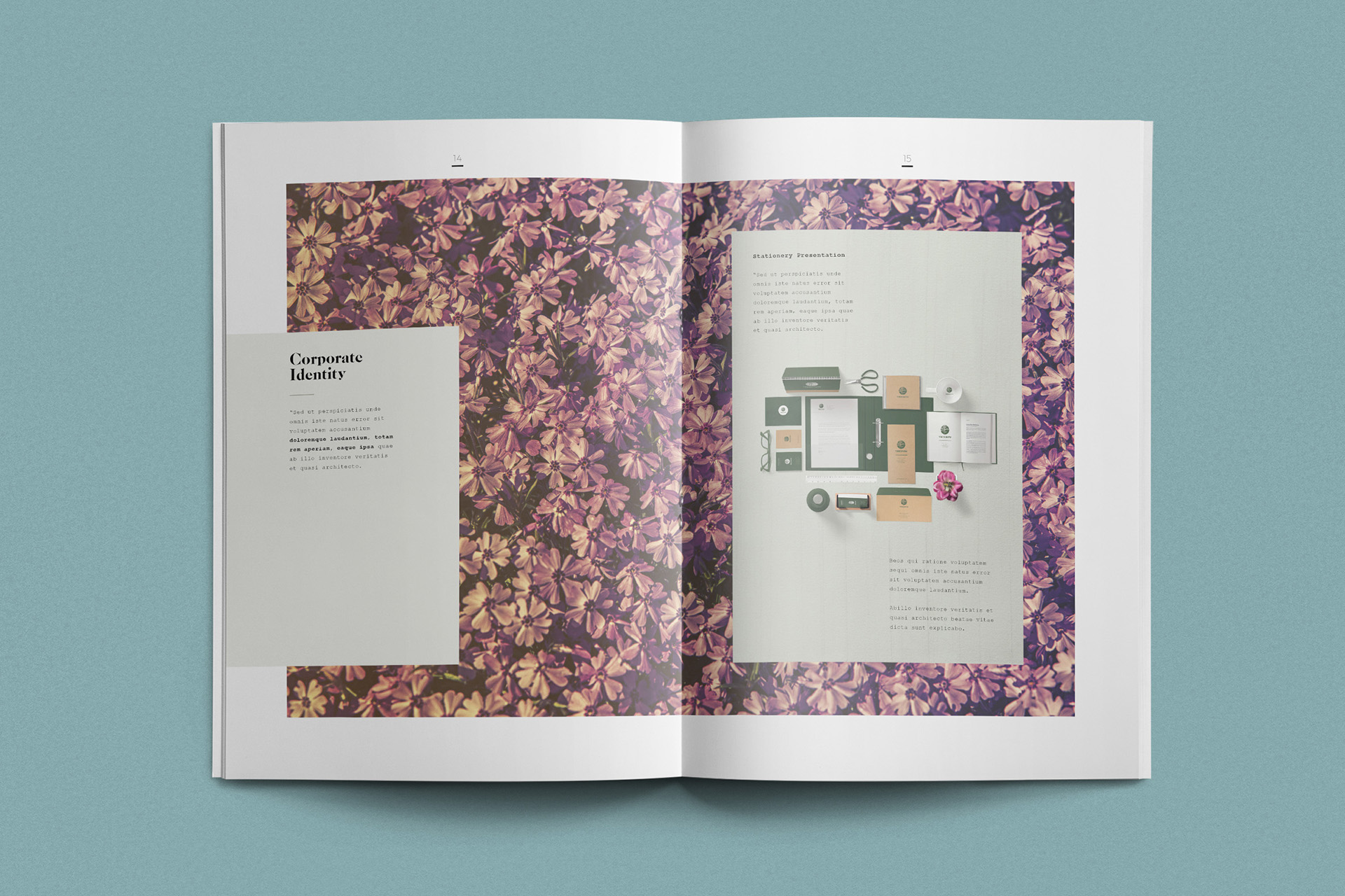 brand book template