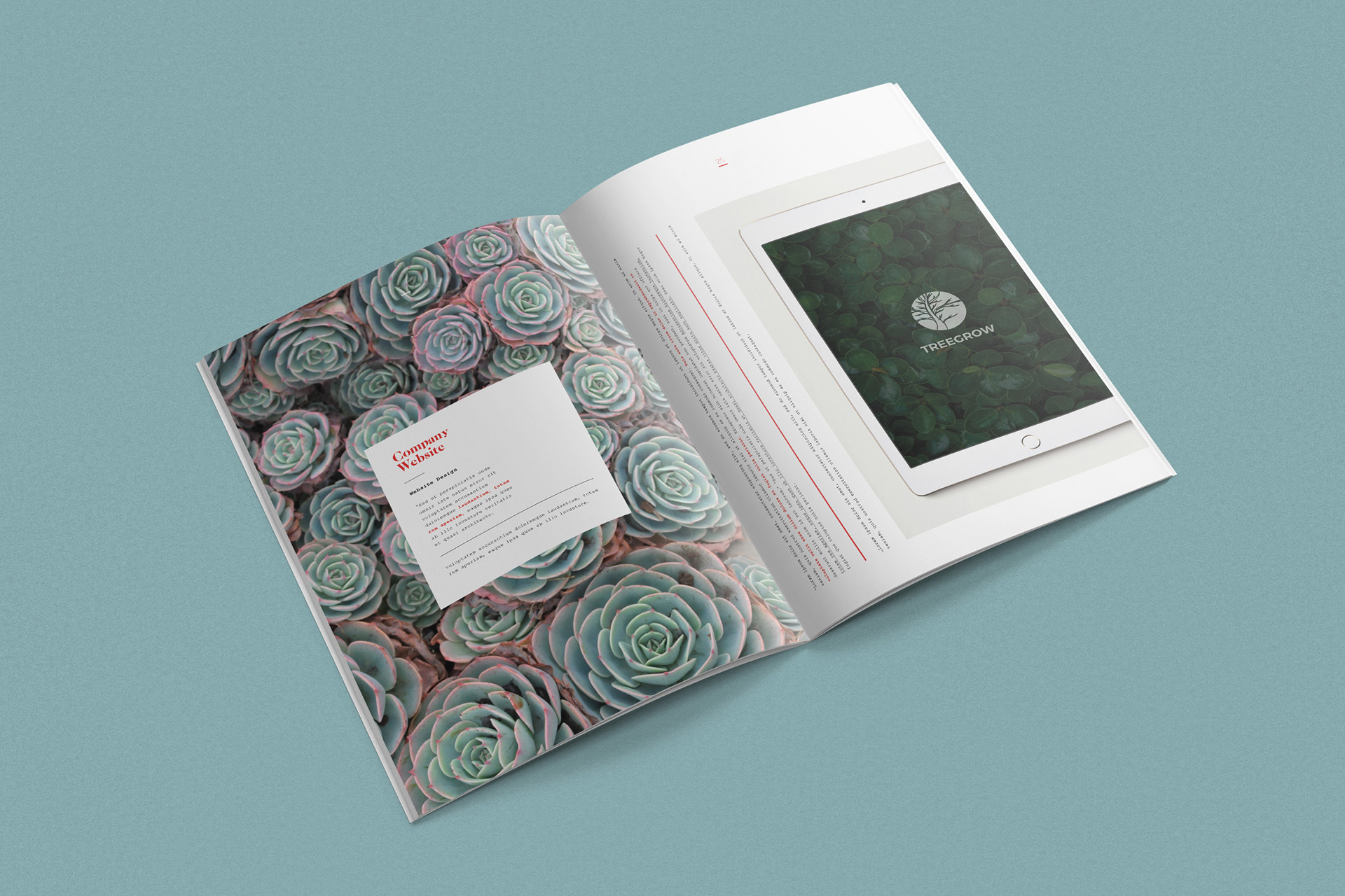 brand book template
