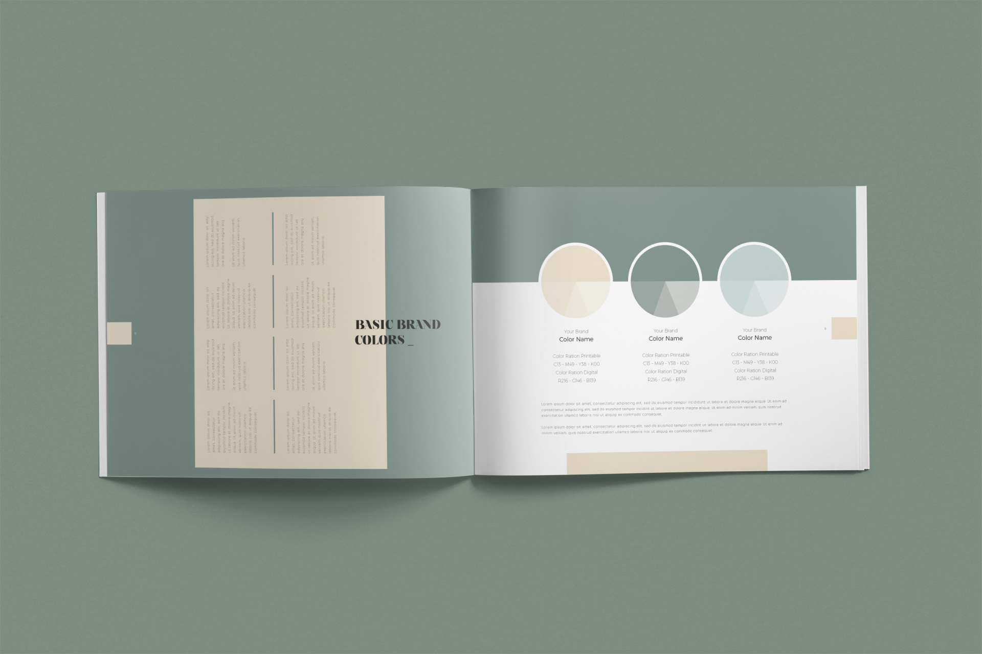 brand book template