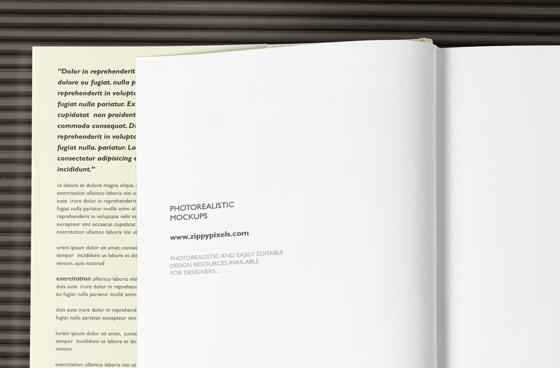 book branding mockup