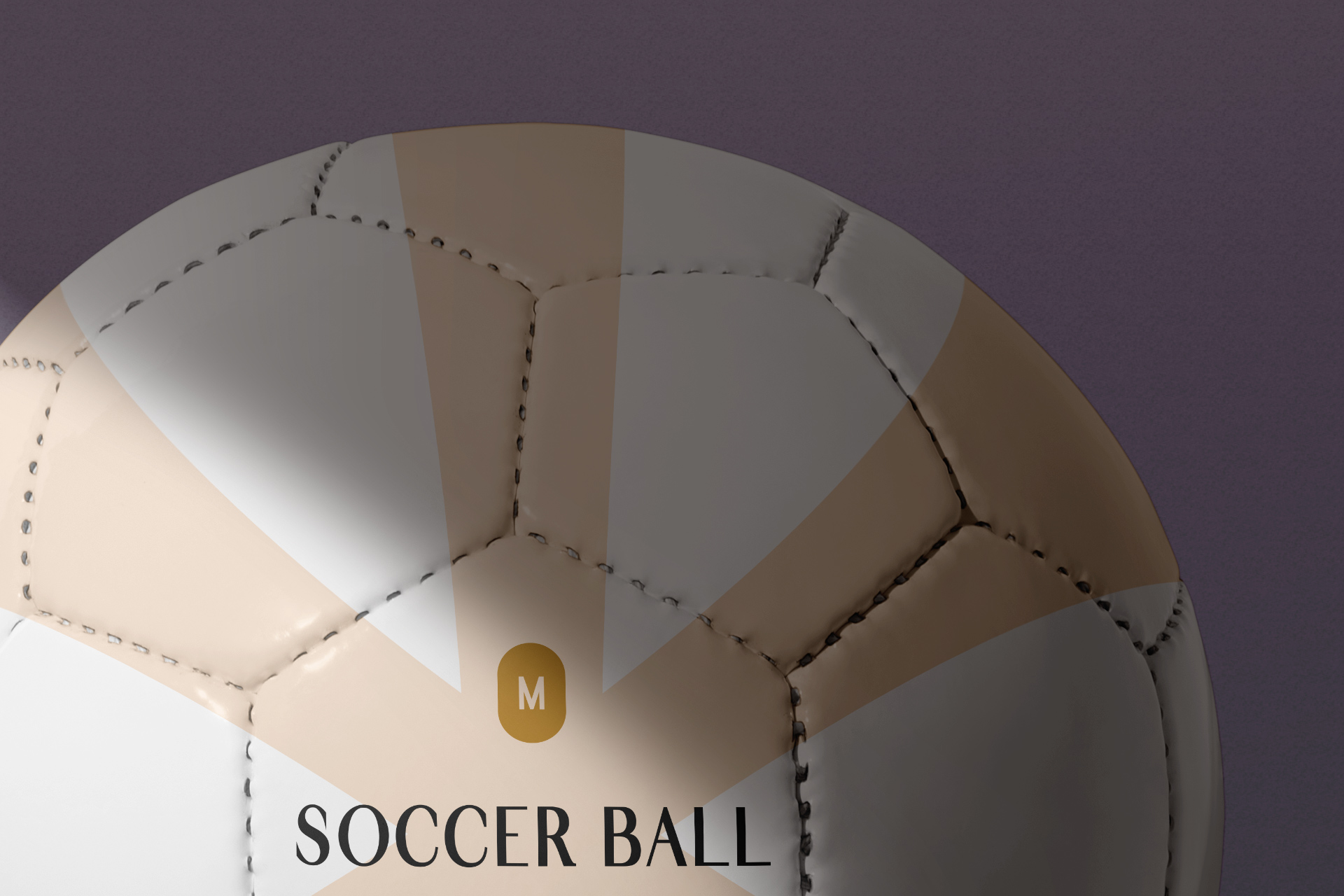 customizable sports ball