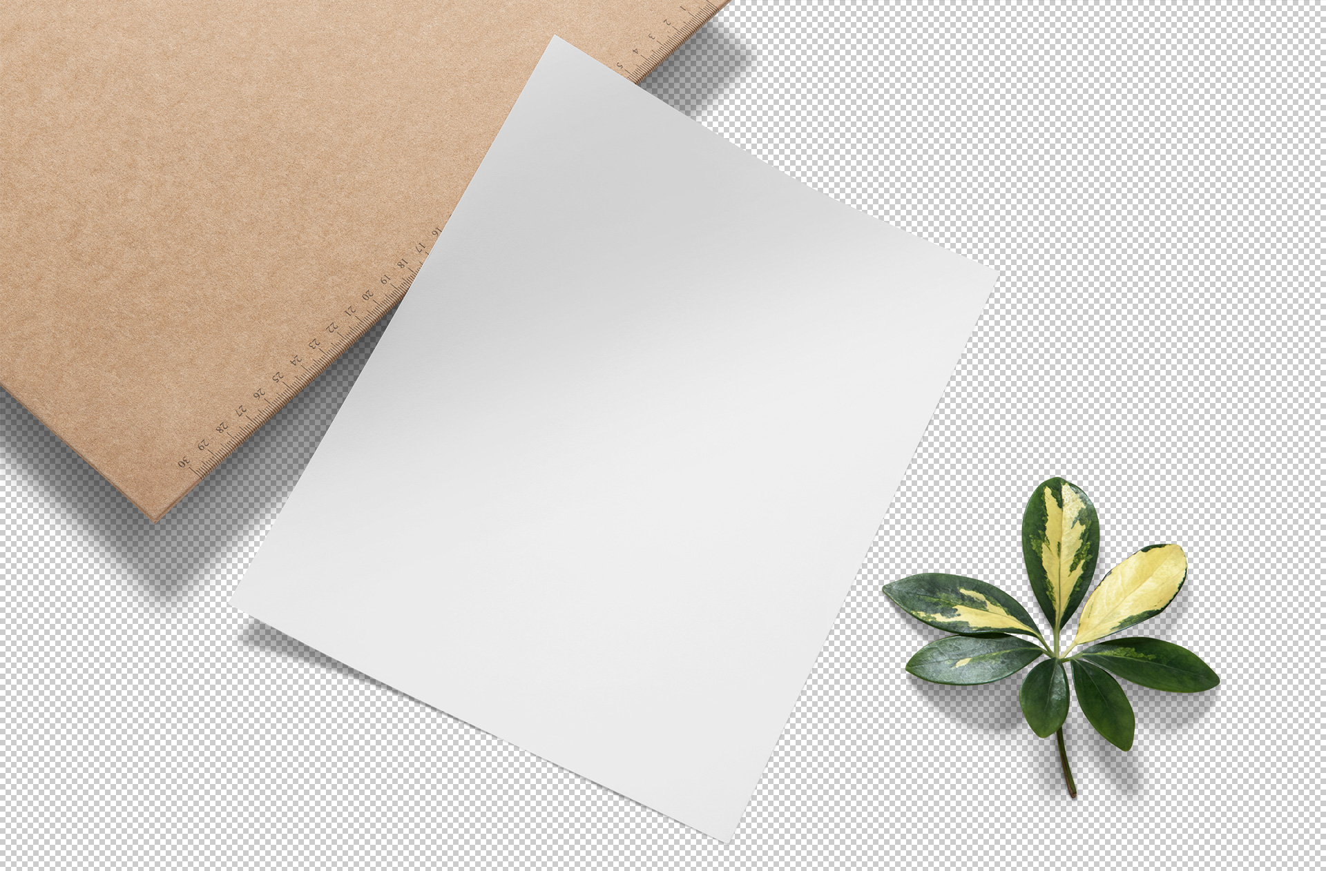 business paper template