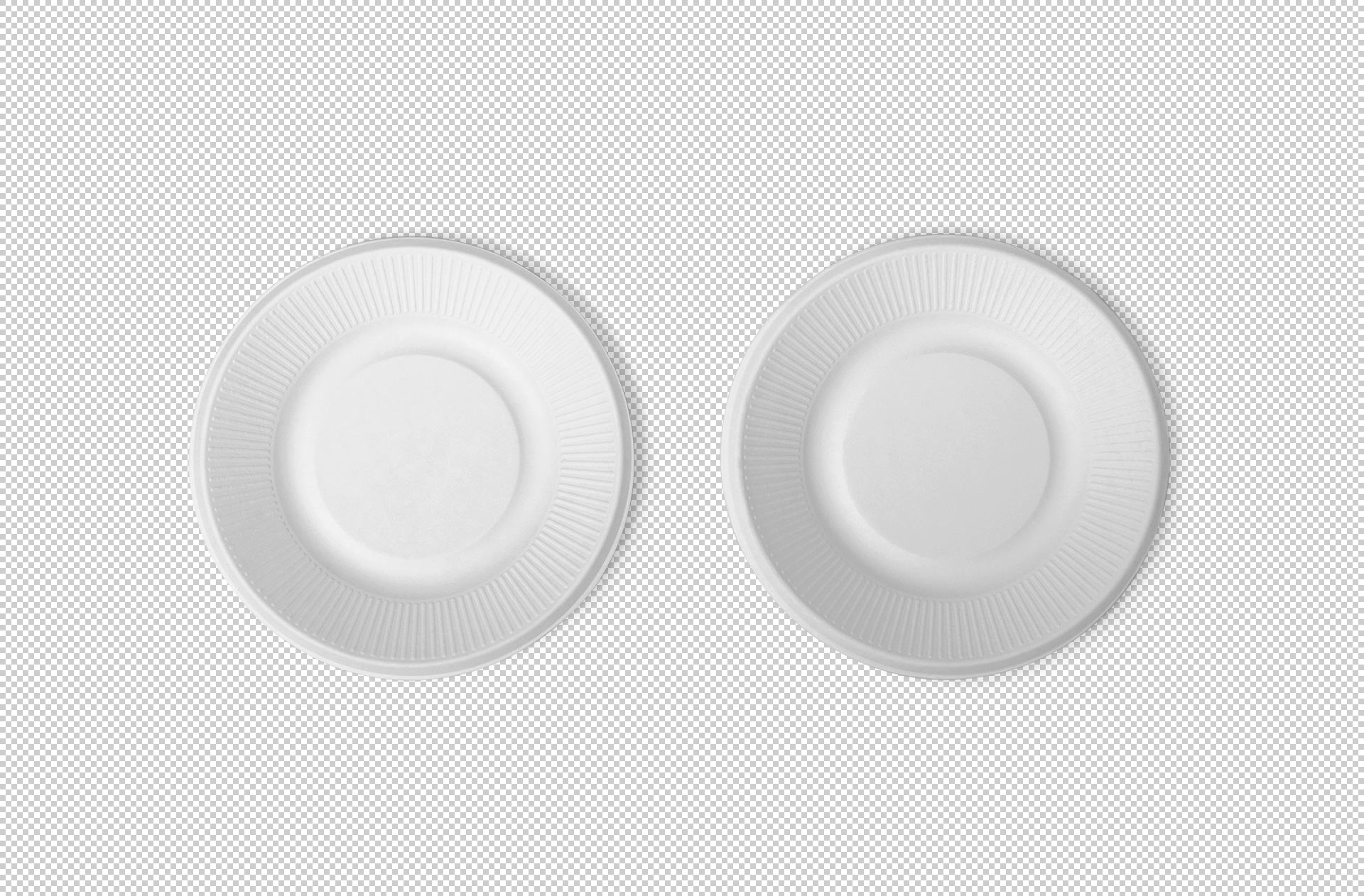 biodegradable plate mockup