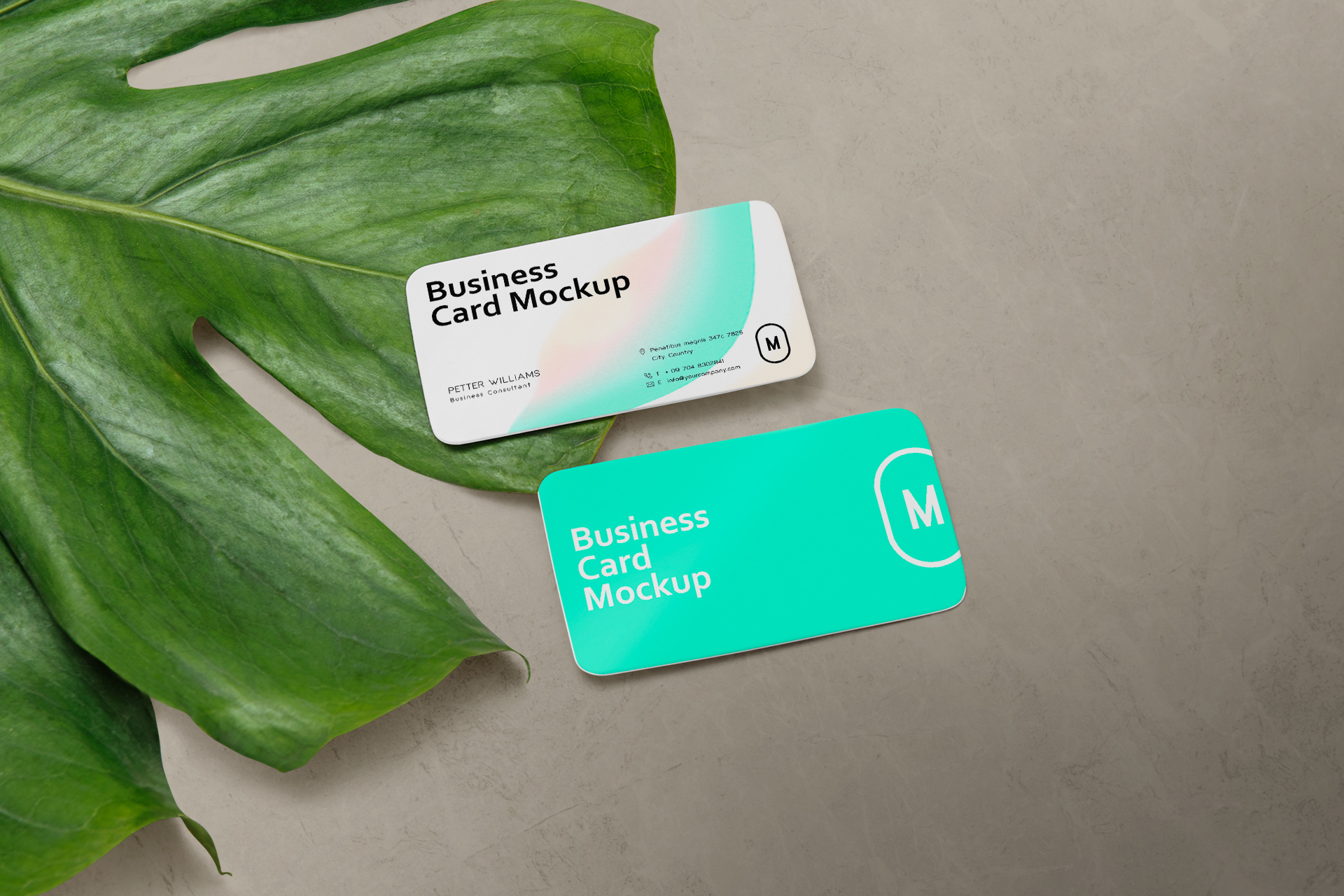 Minimalist Rounded Business Card Mockup – PSD Template