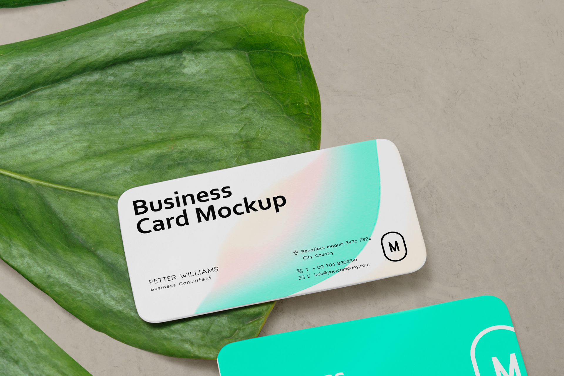 branding card mockup
