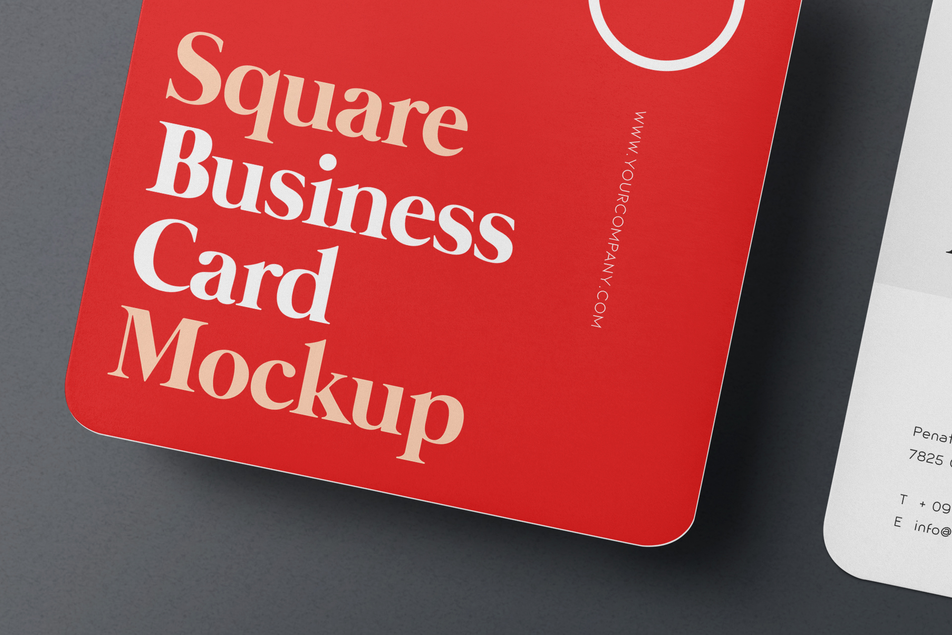 business card mock-up