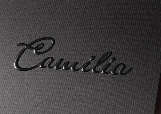 Glossy Black Logo Mockup on Textured Paper