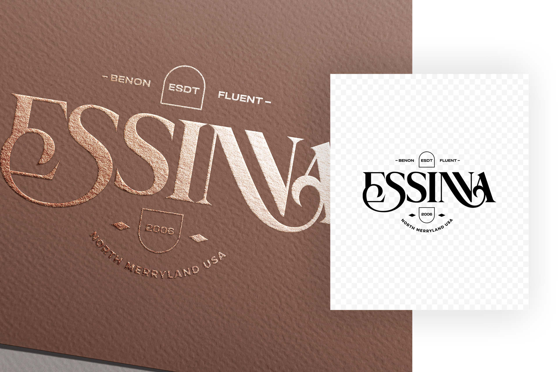 branding identity showcase