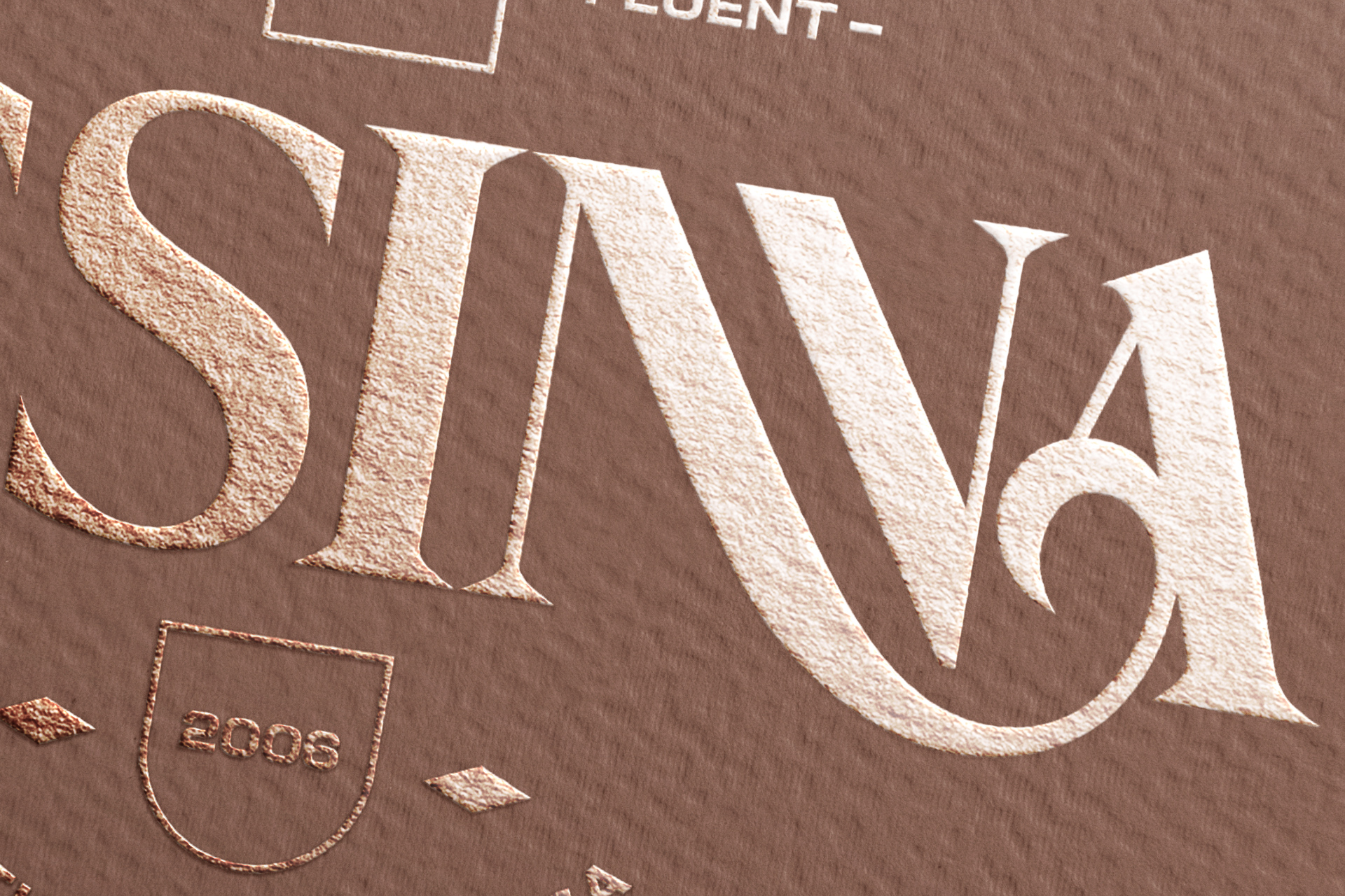 branding identity showcase