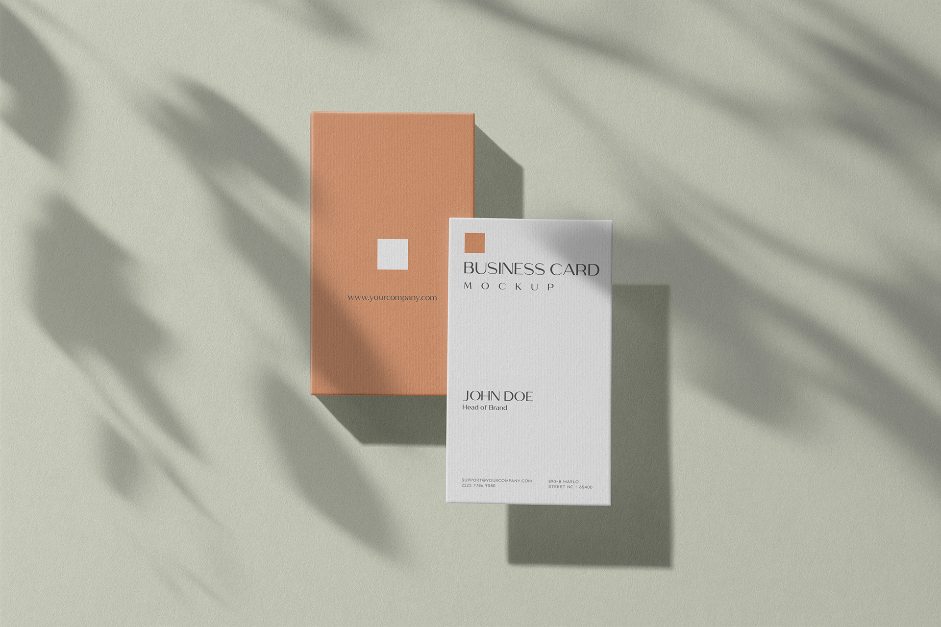Vertical Business Card Mockup with Shadow Play