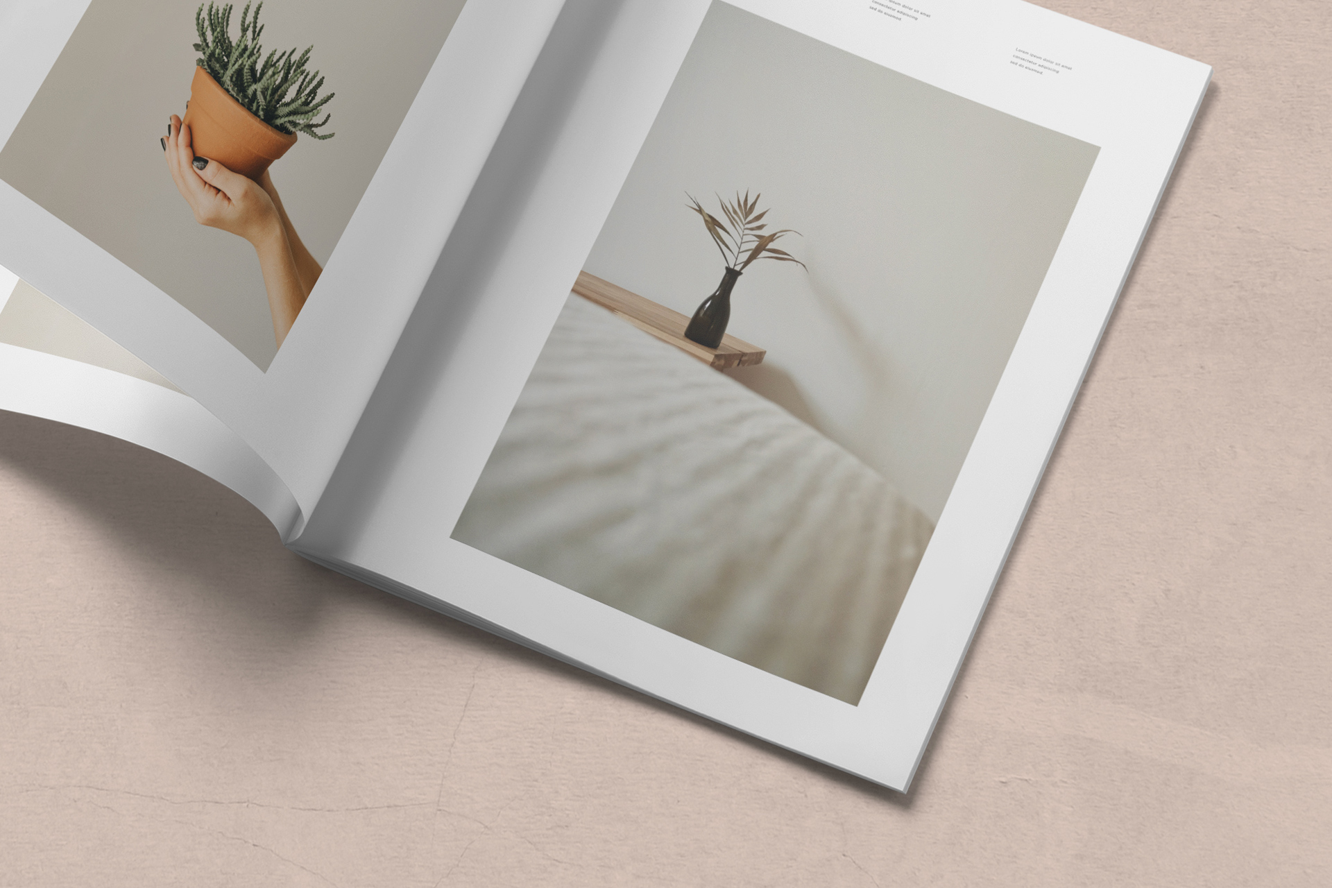 creative editorial PSD