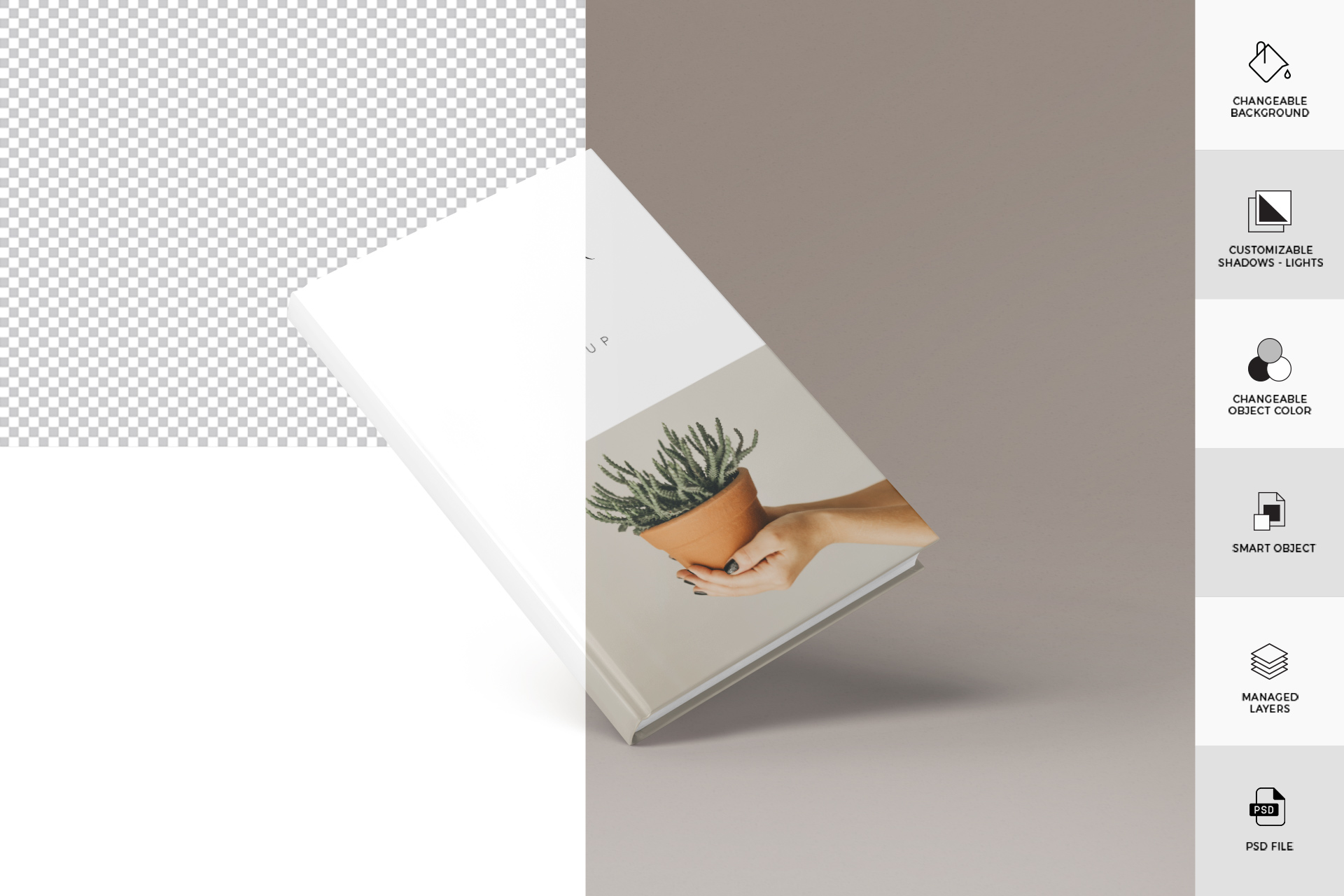 book branding PSD