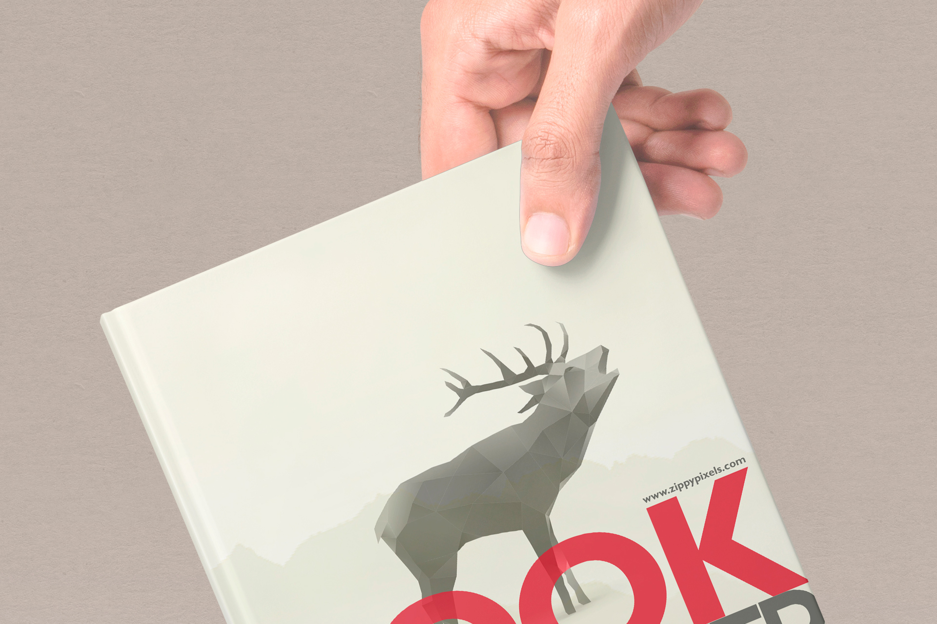 author book mockup