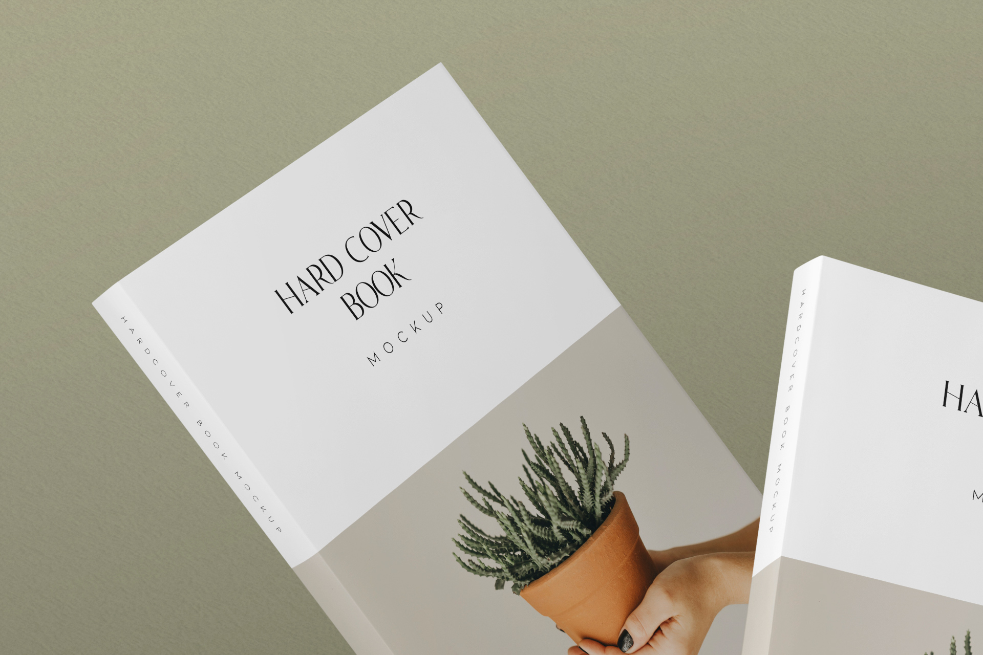 book mockup